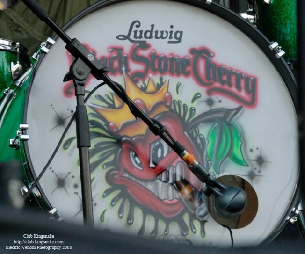 Black Stone Cherry; Summerfest, Milwaukee WI; July 5, 2008.