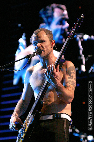 Flea of Red Hot Chili Peppers