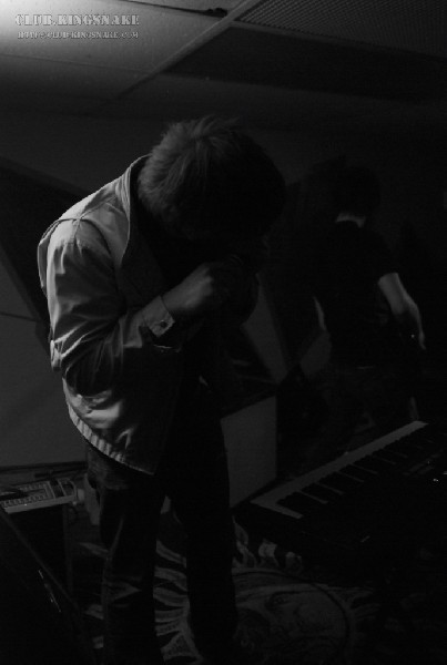 Sailboats are White at the Underdog. Peterborough, Ontario