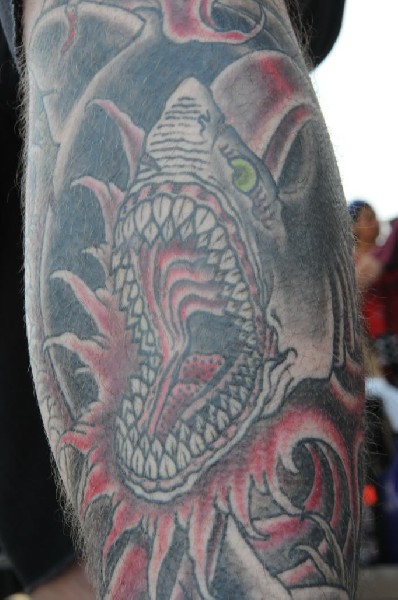 Emmure at Warped Festival, San Antonio, Texas