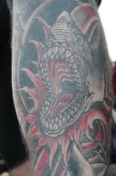 Emmure at Warped Festival, San Antonio, Texas