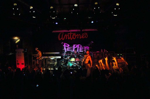 Pepper at Antone's in Austin, Texas