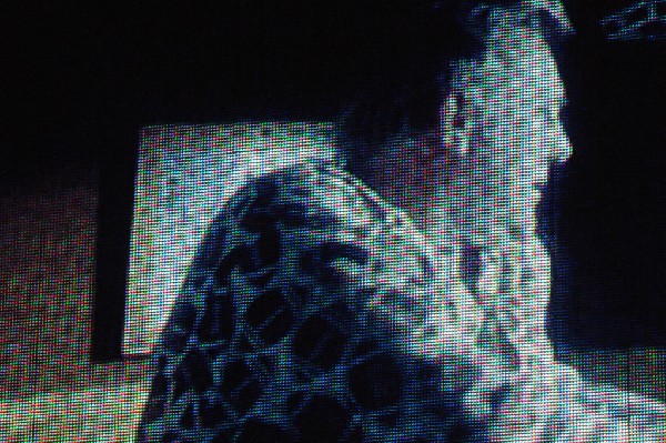 Rush at the Frank Erwin Center, Austin, Texas