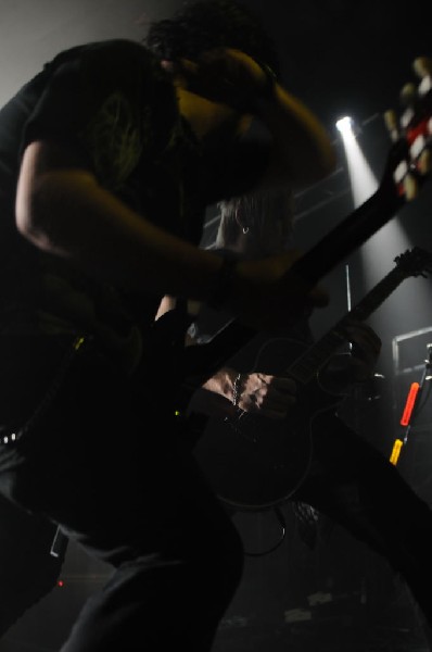 The Leo Project at La Zona Rosa, Austin, Texas